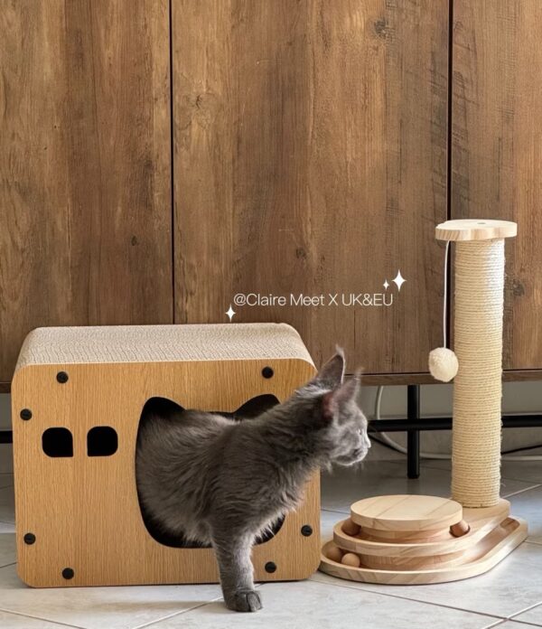 Ins style cat litter - Image 6