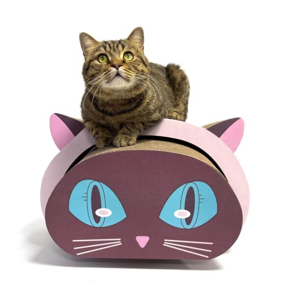 2-in-1 cathead scratcher