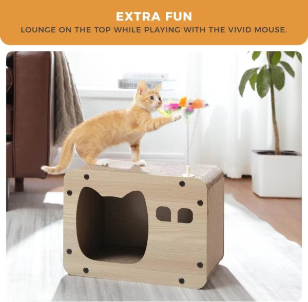 Ins style cat litter - Image 5