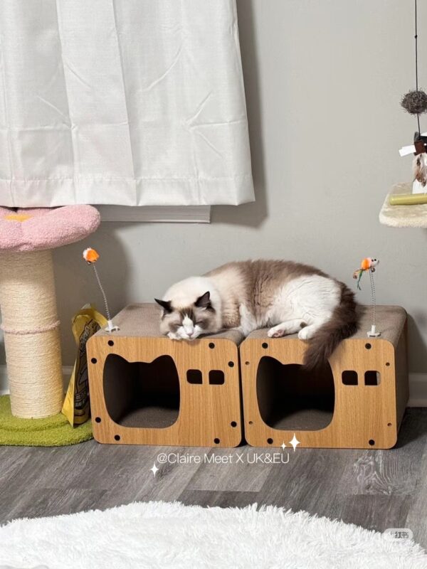 Ins style cat litter - Image 3