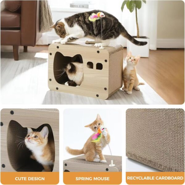 Ins style cat litter