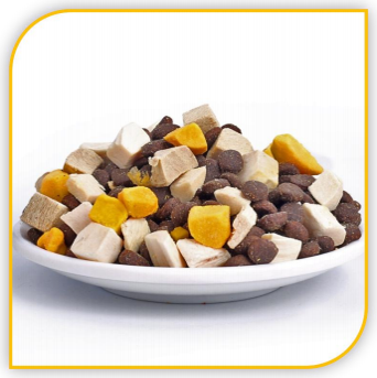 Dog and Cat Food Main